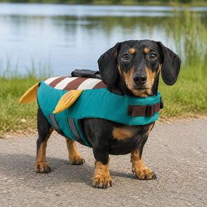 Tamecare Blue Clownfish Dog Life Jacket | Reflective Buoyant Pet Swimming Vest