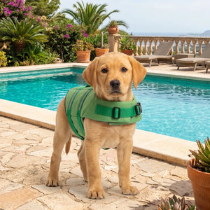 Tamecare Dinosaur Dog Life Jacket | Reflective Buoyant Pet Swimming Vest