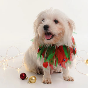Tamecare Multicolor Christmas Tulle Dog Collar