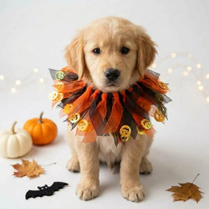 Tamecare Orange Pumpkin Halloween Dog Collar