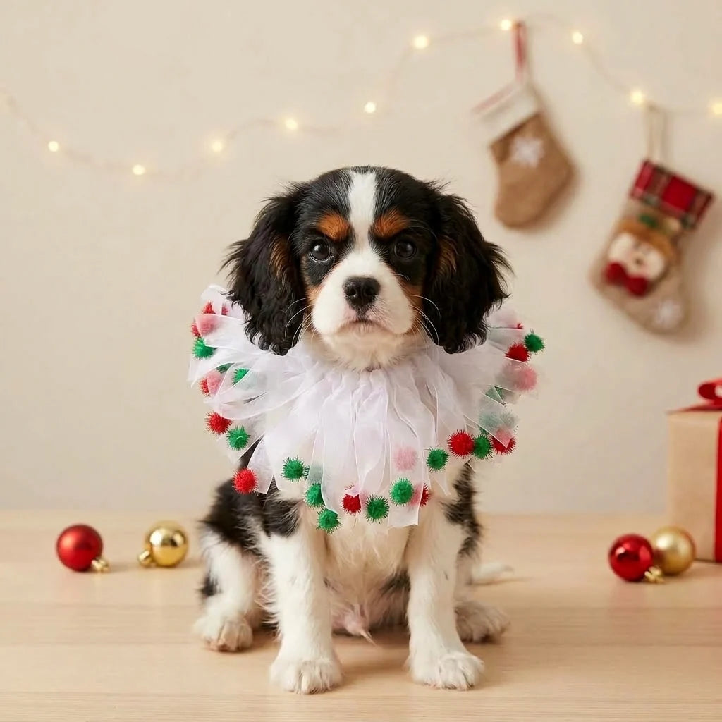 Tamecare White Christmas Pom Pom Dog Collar