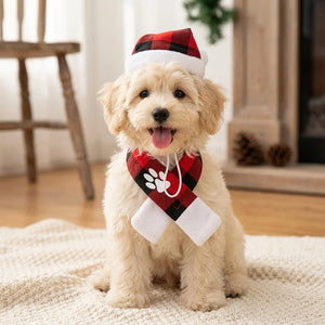 Tamecare Buffalo Plaid Christmas Dog Scarf and Hat Set