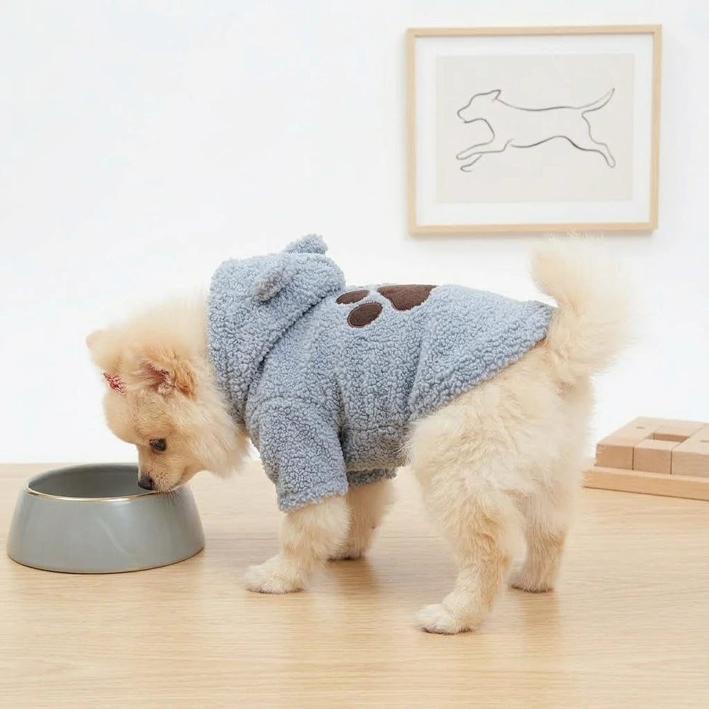 Tamecare Blue Teddy Bear Fleece Dog Hoodie