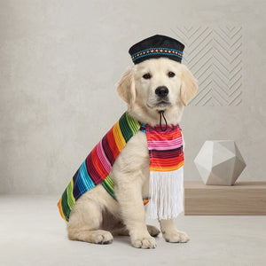 Tamecare Multicolor Mexican Poncho Dog Costume Set