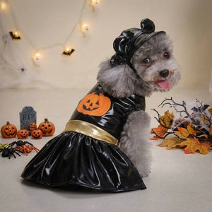 Tamecare Black Pumpkin Halloween Dog Dress