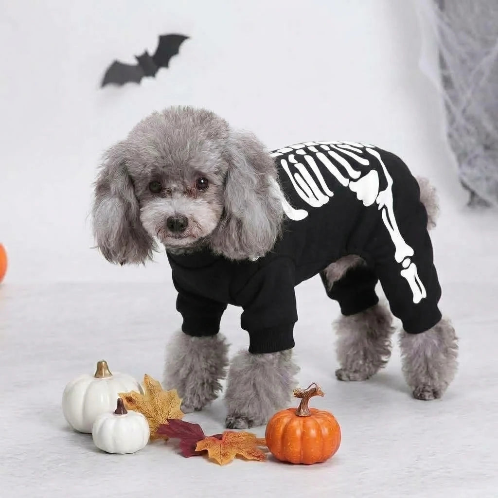 Tamecare Black Skeleton Print Dog Outfit - lifestyle view