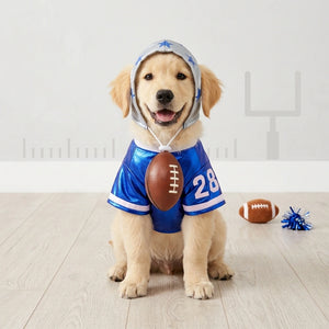 Blue Football Dog Costume