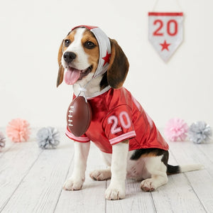 Red Football Cheerleader Dog Costume