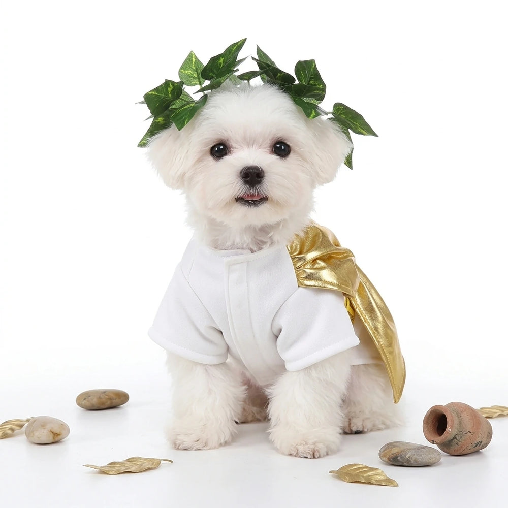 Roman Toga Dog Costume
