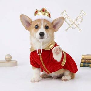 Red Royal King Dog Costume