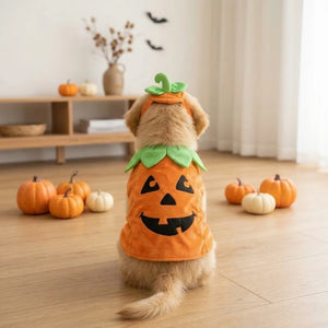 Tamecare Pumpkin Dog Costume Hat and Cape Set, Halloween Pet Outfit