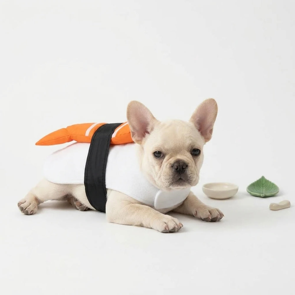 Tamecare Orange Japanese Sushi Dog Costume