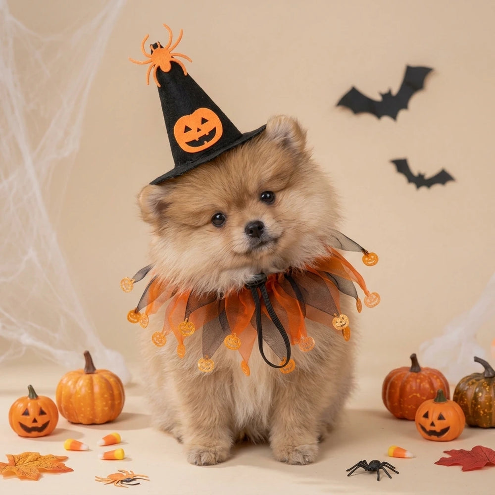 Tamecare Cat Witch Costume with Hat and Pumpkin Collar, Halloween Pet Outfit