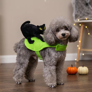 Tamecare Black Cat Rider Halloween Dog Costume