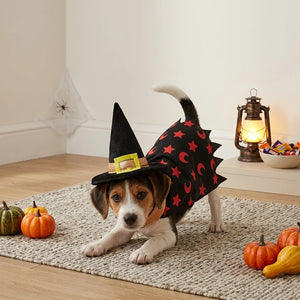 Tamecare Black Witch Hat and Cape Halloween Dog Costume