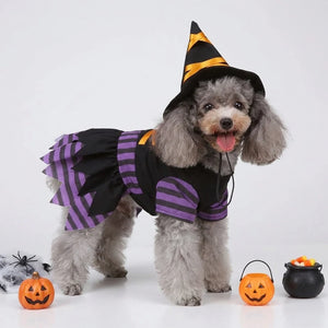 Tamecare Black and Purple Witch Dog Costume and Hat Set