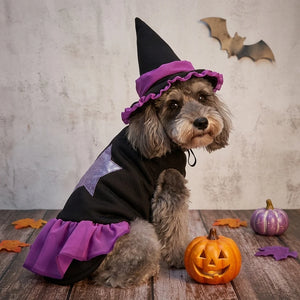 Tamecare Purple Witch Halloween Dog Costume Set