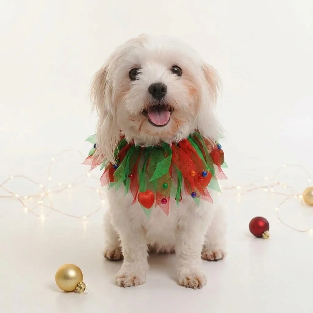 Tamecare Multicolor Christmas Tulle Dog Collar