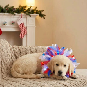 Tamecare Red White and Blue Patriotic Dog Collar