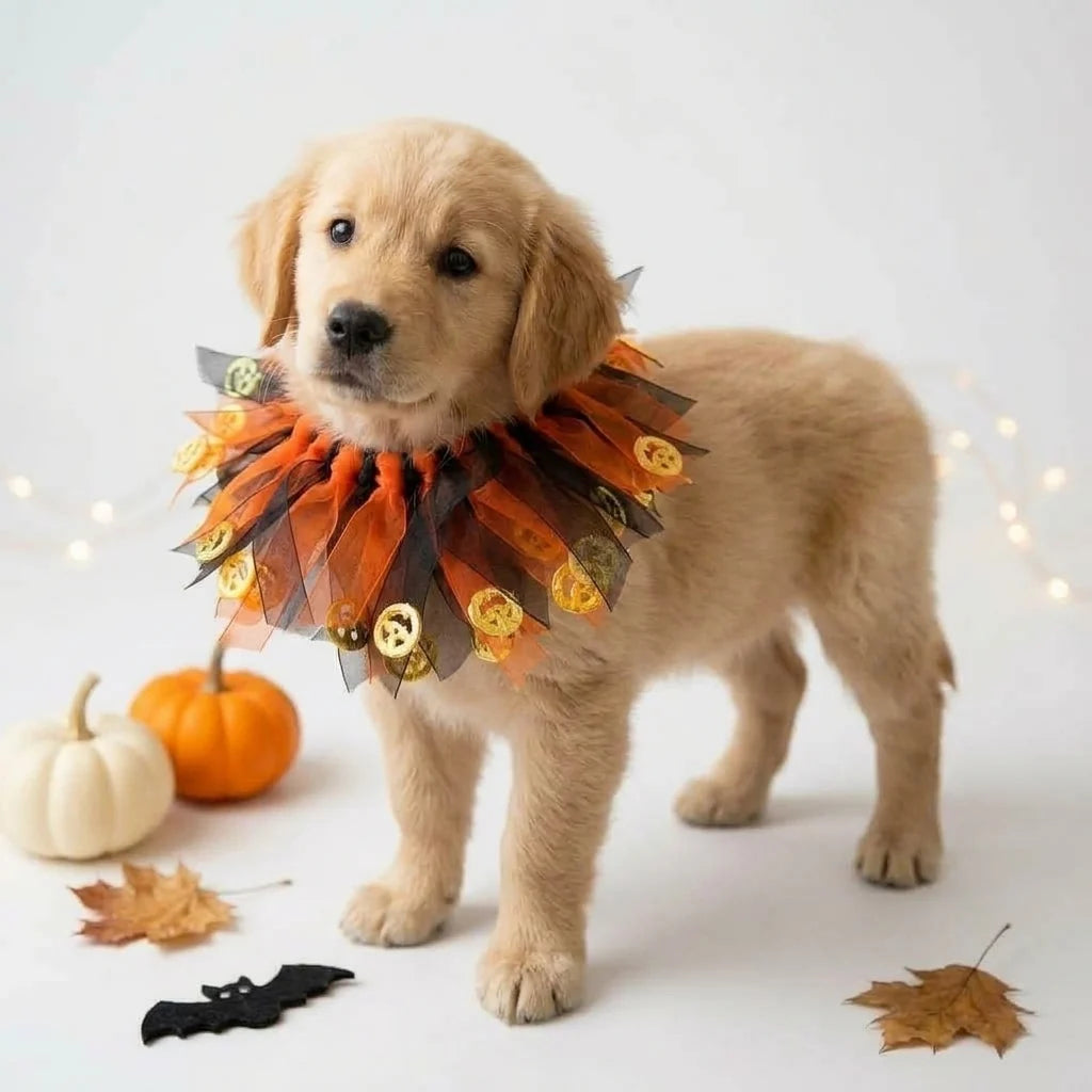 Tamecare Orange Pumpkin Halloween Dog Collar