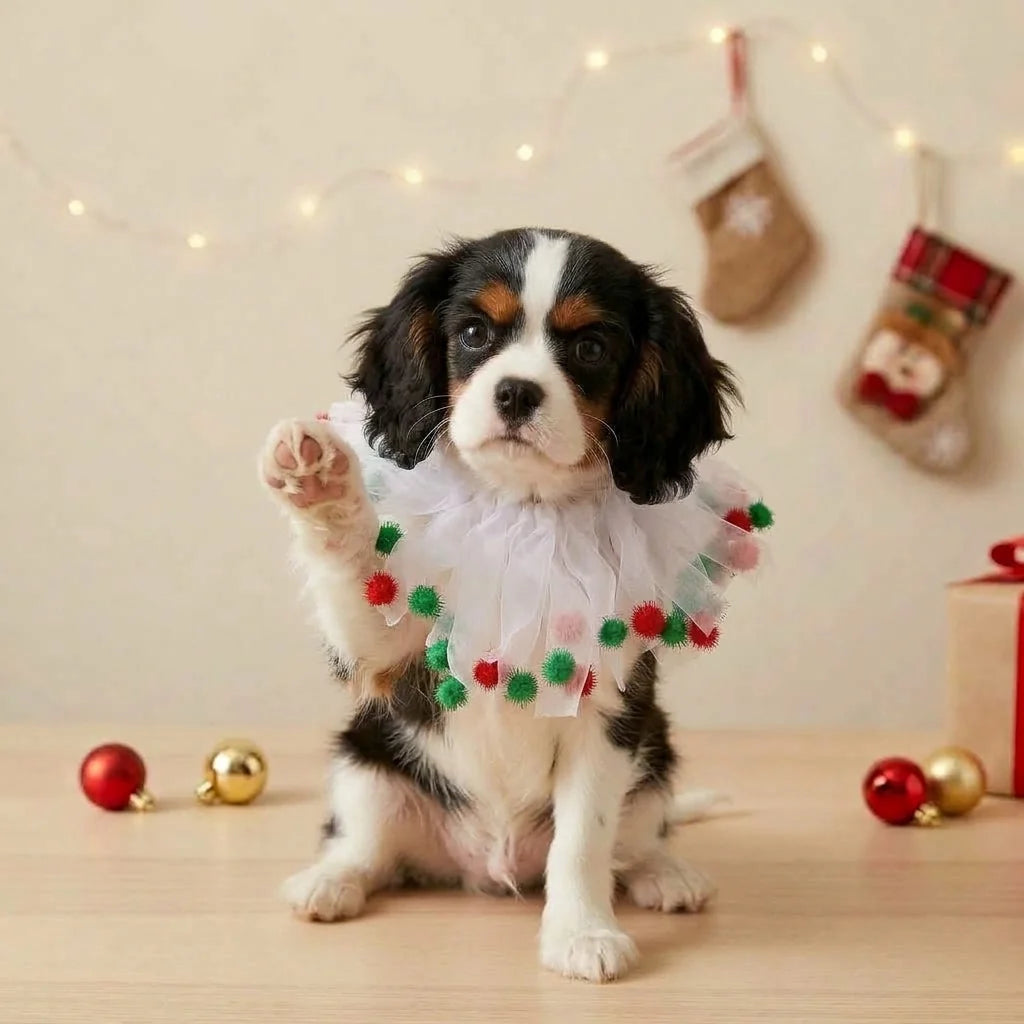 Tamecare White Christmas Pom Pom Dog Collar