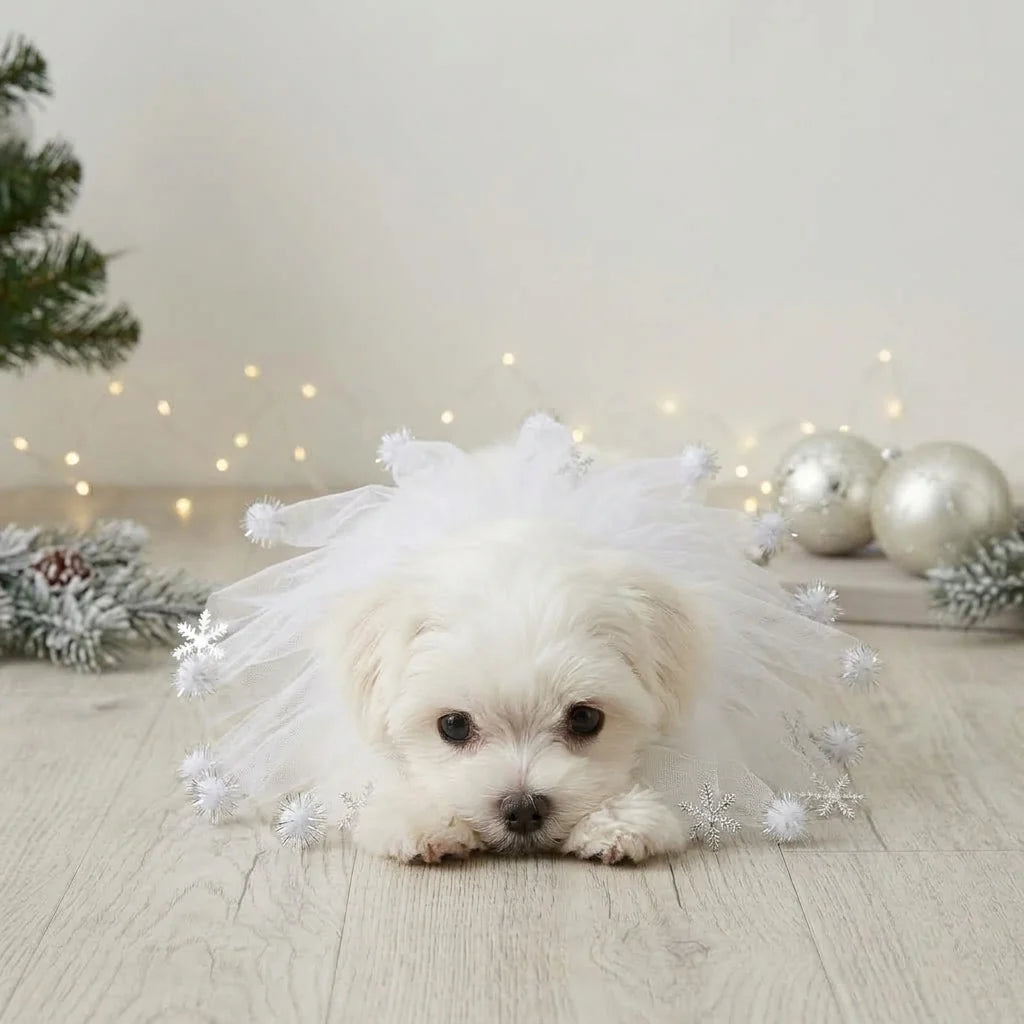 Tamecare White Snowflake Tulle Dog Collar