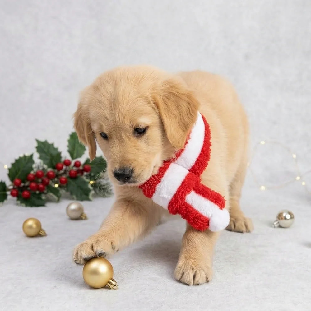 Tamecare Red and White Plush Christmas Dog Scarf