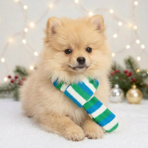 Tamecare Blue Green and White Plush Christmas Dog Scarf