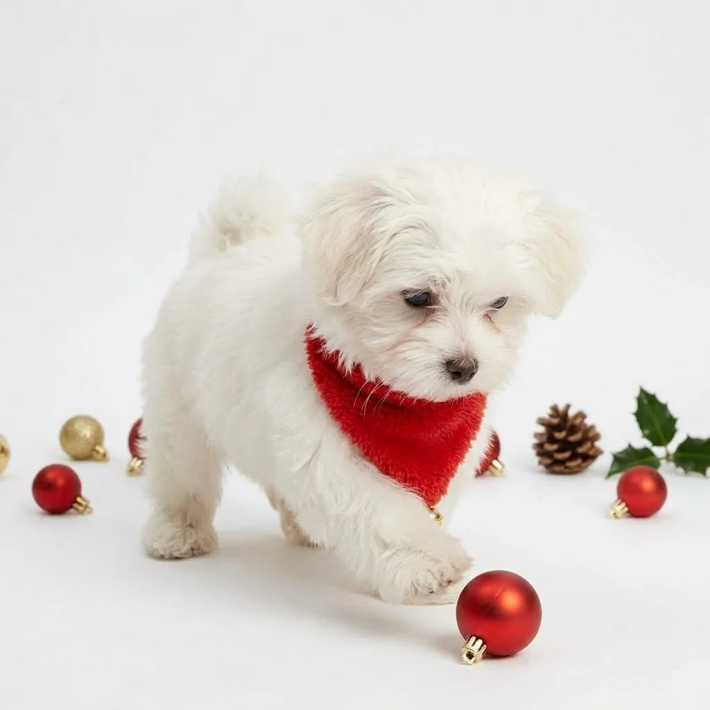 Tamecare Red Christmas Bell Dog Bandana