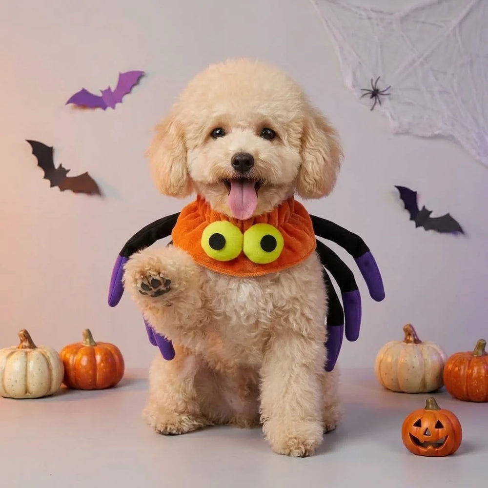 Tamecare Orange Halloween Spider Dog Collar