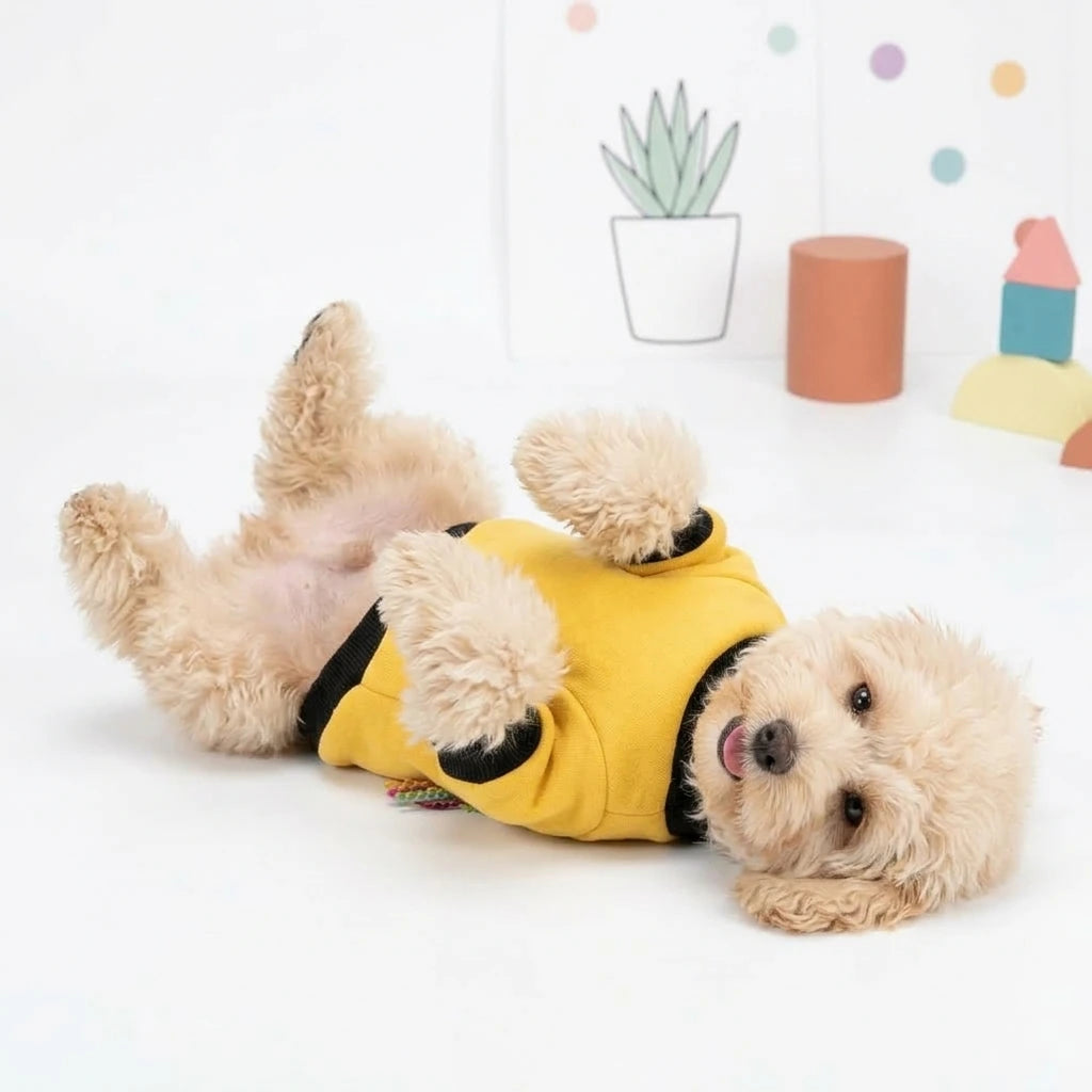 Tamecare Yellow Lion Applique Dog Sweatshirt