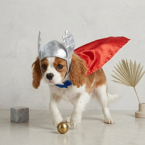 Tamecare Thor Dog Costume Set