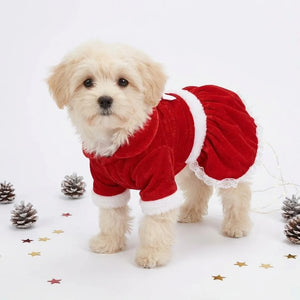 Tamecare Red Christmas Butterfly Skirt Dog Dress
