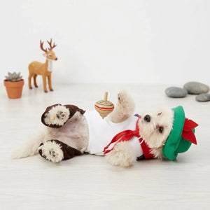 Tamecare Green Pub Waiter Dog Costume Set