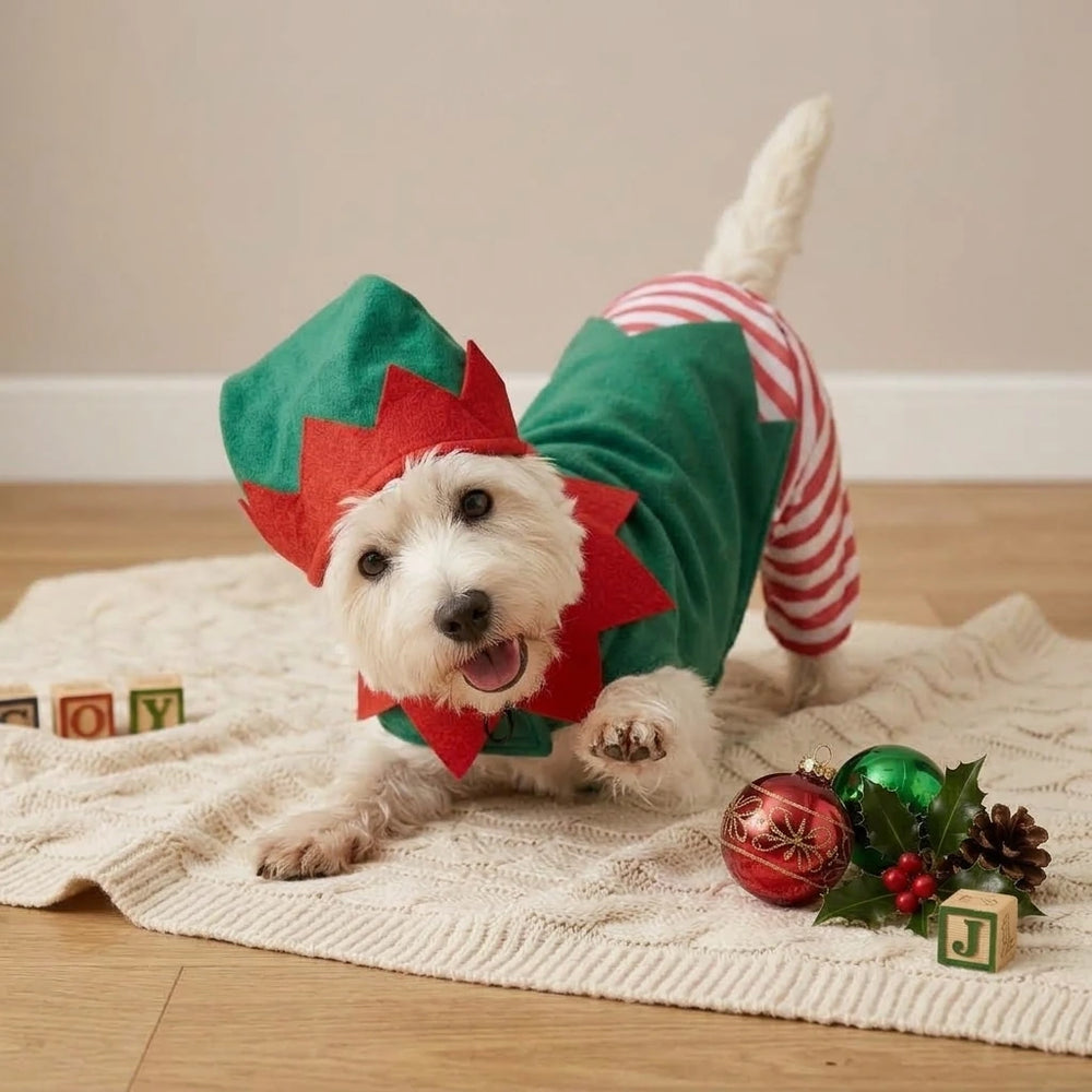 Tamecare Green and Red Christmas Elf Dog Outfit and Hat Set