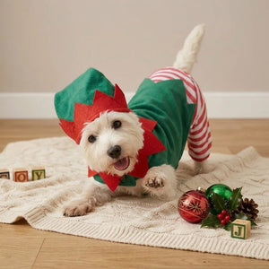 Tamecare Green and Red Christmas Elf Dog Outfit and Hat Set
