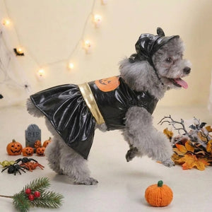 Tamecare Black Pumpkin Halloween Dog Dress