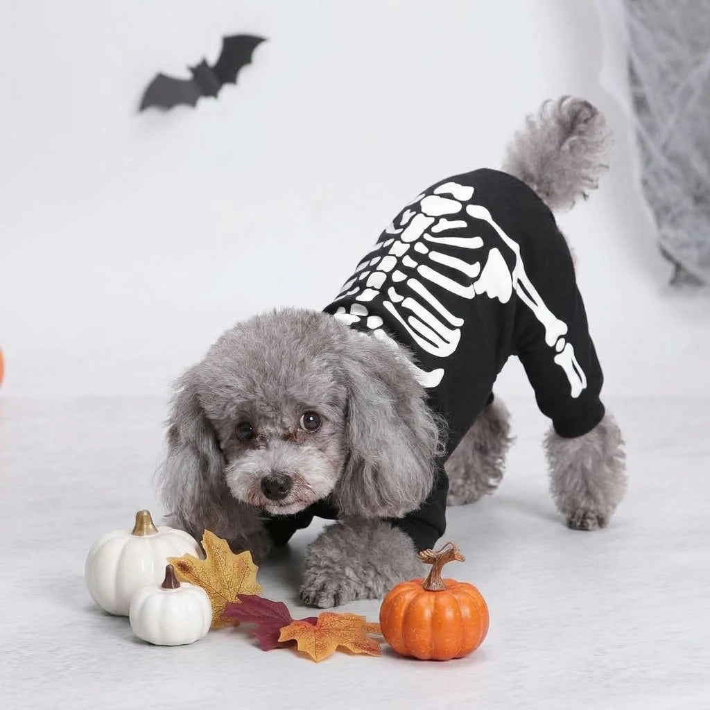 Tamecare Black Skeleton Print Dog Outfit - lifestyle view