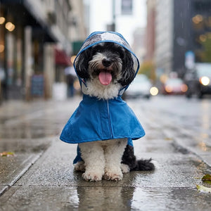Shark Waterproof Dog Raincoat with Reflective Strip