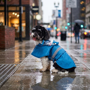 Shark Waterproof Dog Raincoat with Reflective Strip