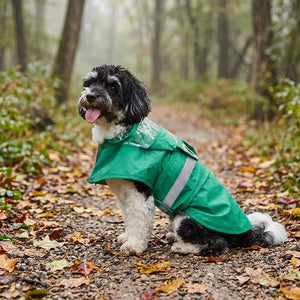 Frog Waterproof Dog Raincoat with Reflective Strip & Leash Hole