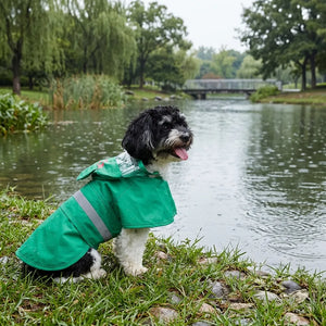 Frog Waterproof Dog Raincoat with Reflective Strip & Leash Hole