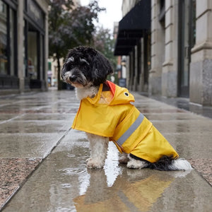 Reflective Duck Dog Raincoat with Tail Cover & Leash Hole, Medium Large Breeds