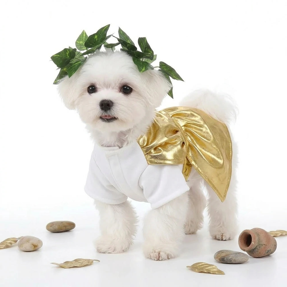 Roman Toga Dog Costume