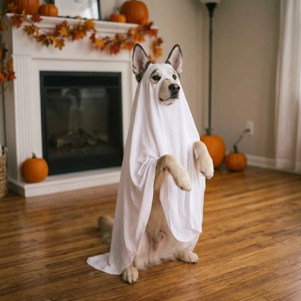 Tamecare Ghost Dog Costume with Glow Eyes, Halloween Pet Outfit