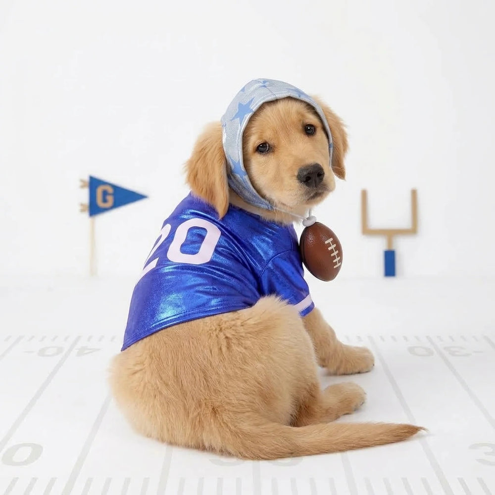 Blue Football Dog Costume