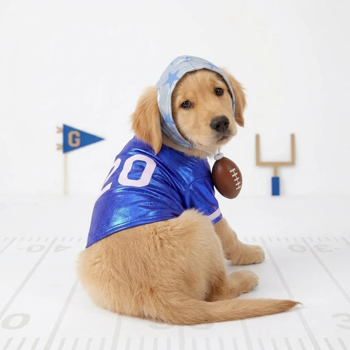 Blue Football Dog Costume