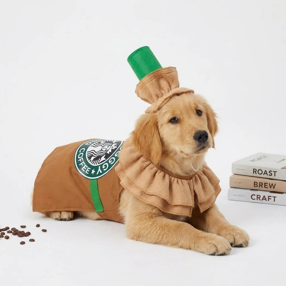 Tamecare Brown Latte Dog Costume Set with Hat