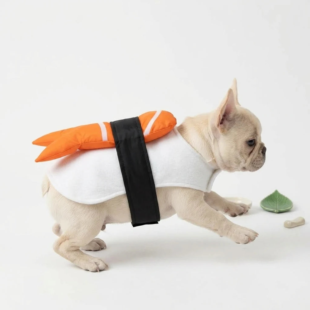 Tamecare Orange Japanese Sushi Dog Costume