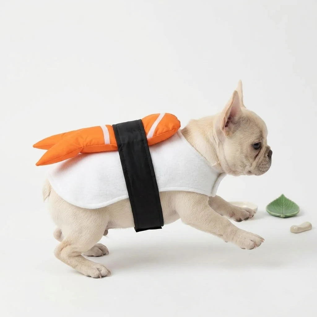 Tamecare Orange Japanese Sushi Dog Costume